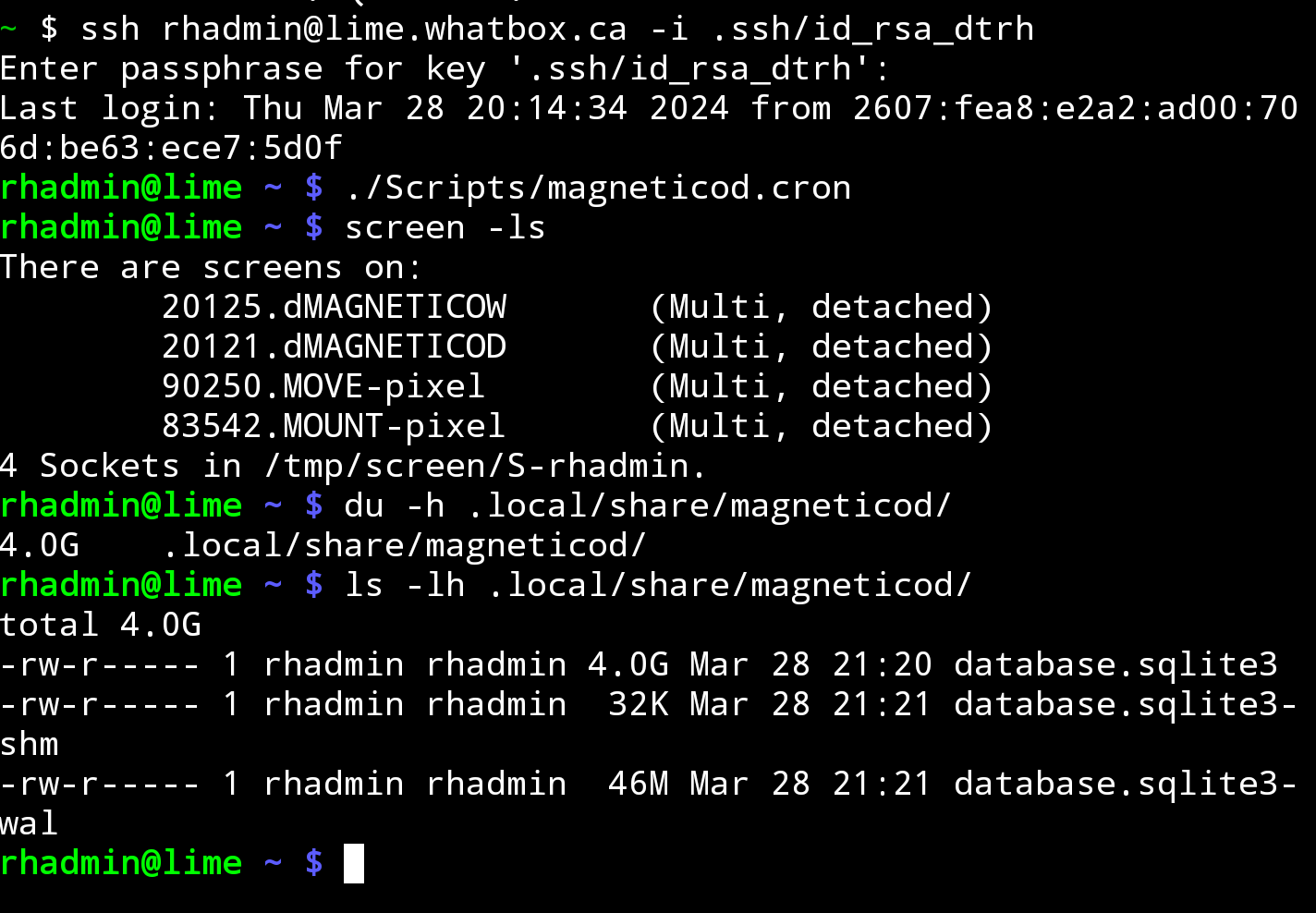 CLI output showing database size