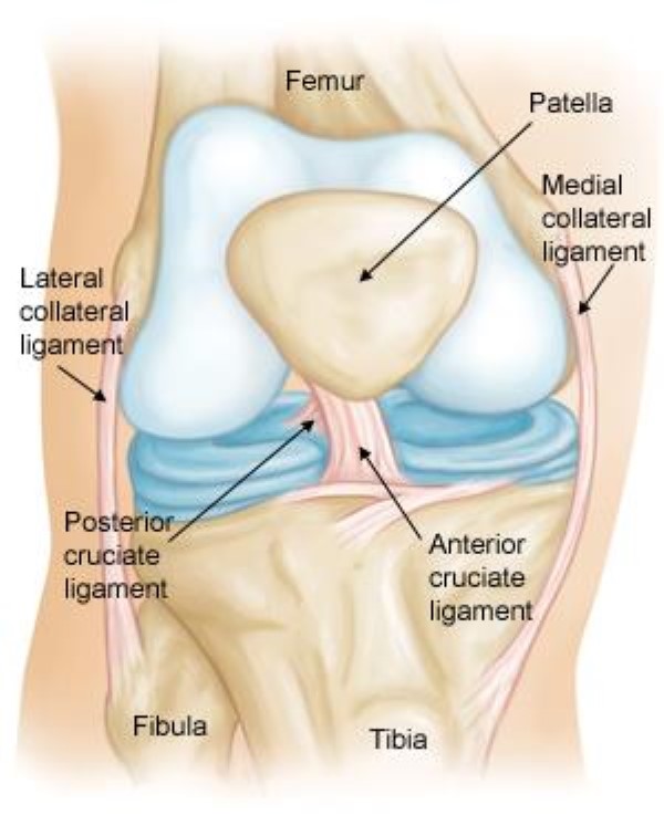 Rebuilding My Knee: A First-Person Journey Through ACL Reconstruction and Recovery